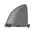 Shark Fin (damaged).png