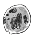 Snot Bubble (damaged).png