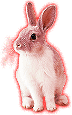 Rabbit (angry).png
