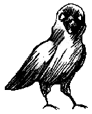 Crow Sad (Unused).gif