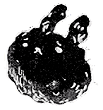 Dust Bunny (dying).png