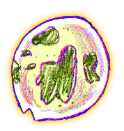 Snot Bubble (happy).png
