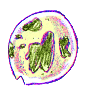 Snot Bubble (Normal).png
