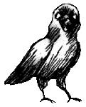 Crow Neutral (Unused).gif