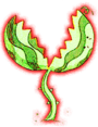angry venus flytrap
