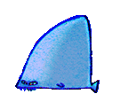 Neutral Shark Fin